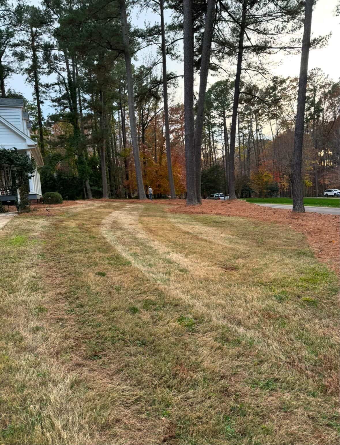 Premium Sod Installation